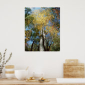 紅葉-素晴らしスモーク山脈 – 木 ポスター (キッチン)