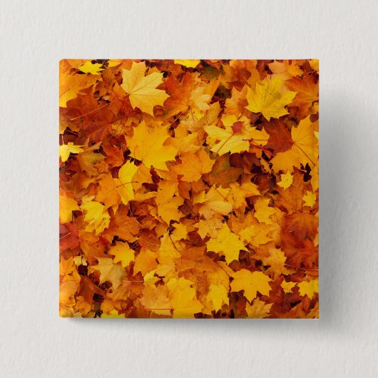 紅葉 缶バッジ (正面)