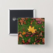 紅葉 缶バッジ (正面&裏面)