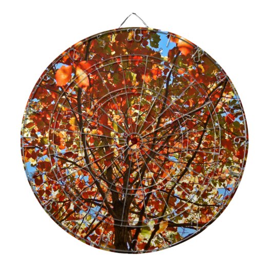 紅葉 花火 ダーツボード (正面)