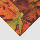 紅葉 薄葉紙 (詳細)