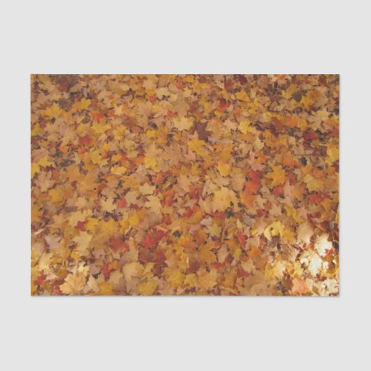 紅葉 薄葉紙 (正面)