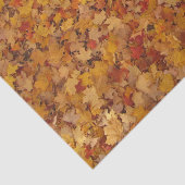 紅葉 薄葉紙 (詳細)