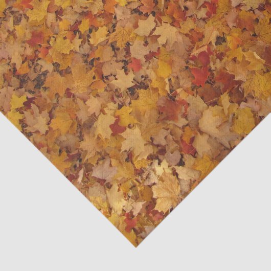 紅葉 薄葉紙 (詳細)