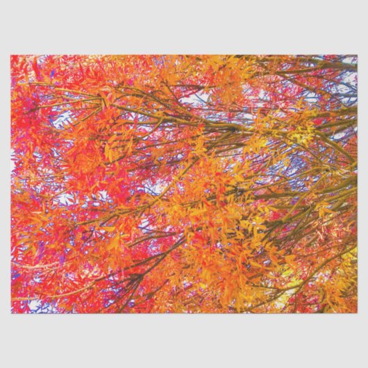 紅葉 薄葉紙 (正面)