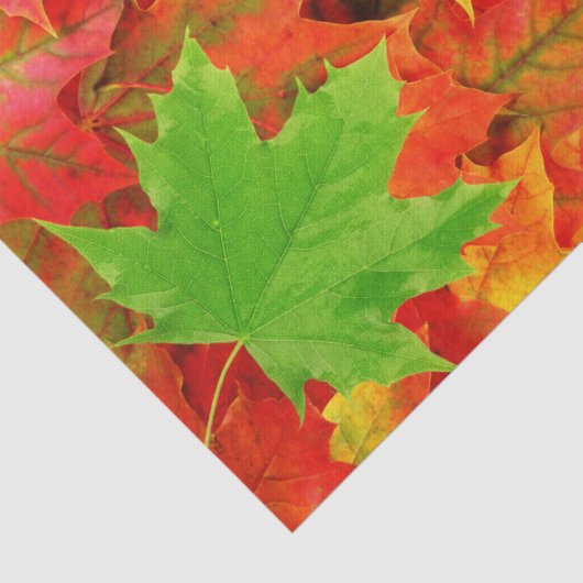 紅葉 薄葉紙 (詳細)