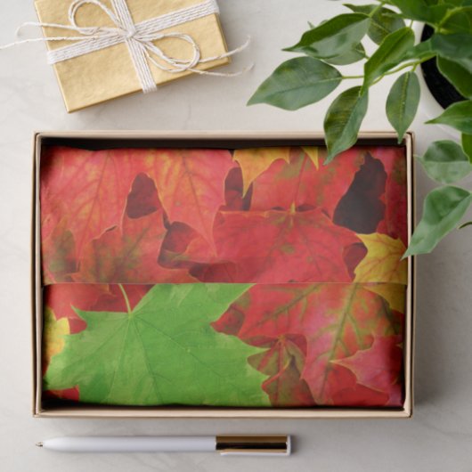 紅葉 薄葉紙 (ギフト)