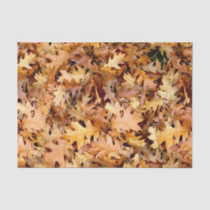 紅葉 薄葉紙