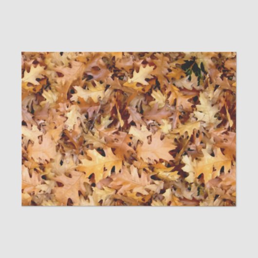 紅葉 薄葉紙 (正面)