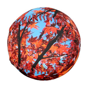 紅葉 野球ボール
