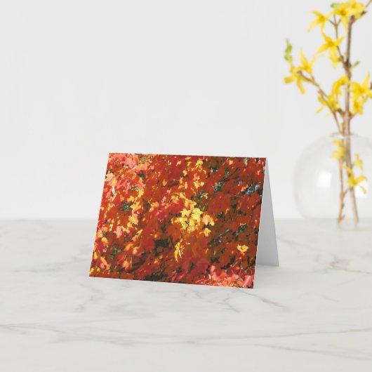 紅葉- 1 カード (黄色い花)