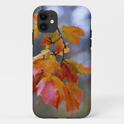 紅葉 Case-Mate iPhoneケース (裏面)
