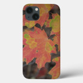 紅葉 Case-Mate iPhoneケース (裏面)