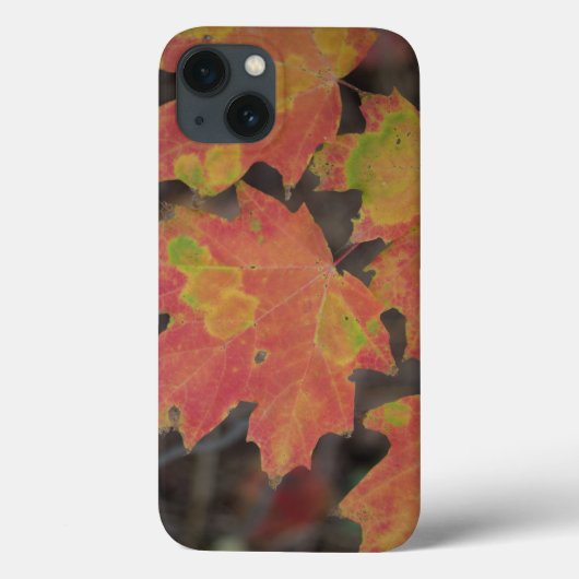 紅葉 Case-Mate iPhoneケース (裏面)