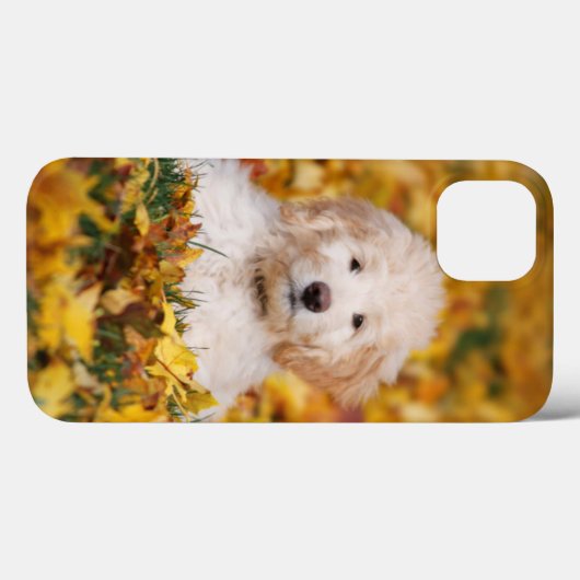 紅葉 Case-Mate iPhoneケース (裏面 (横))