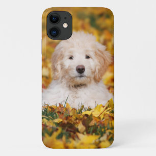 紅葉 iPhone 11 ケース