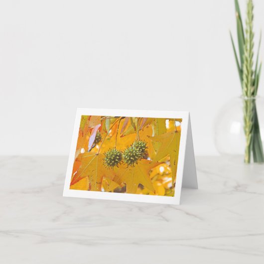 「紅葉」NOTECARD(PHTOG) カード (正面)