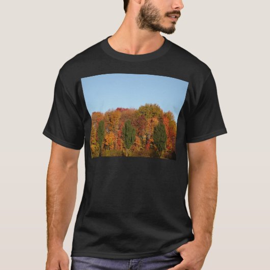 紅葉 Tシャツ (正面)