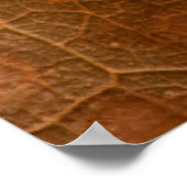 紅葉closeupabstract,autumn,background,br ポスター (角)