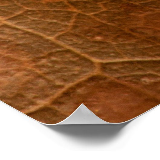 紅葉closeupabstract,autumn,background,br ポスター (角)