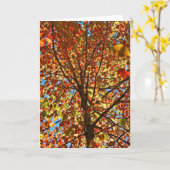 紅葉Fireworks カード (黄色い花)