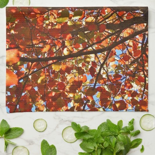 紅葉Fireworks キッチンタオル (折り畳み)