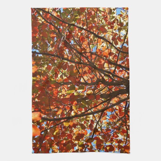 紅葉Fireworks キッチンタオル (縦)