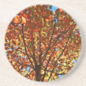 紅葉Fireworks コースター (正面)