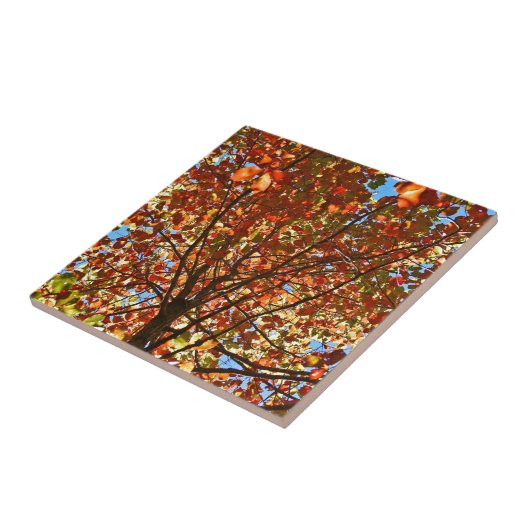 紅葉Fireworks タイル (側面)