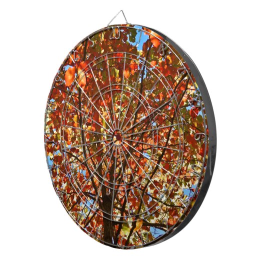 紅葉Fireworks ダーツボード (正面右)