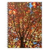 紅葉Fireworks ノートブック (正面)