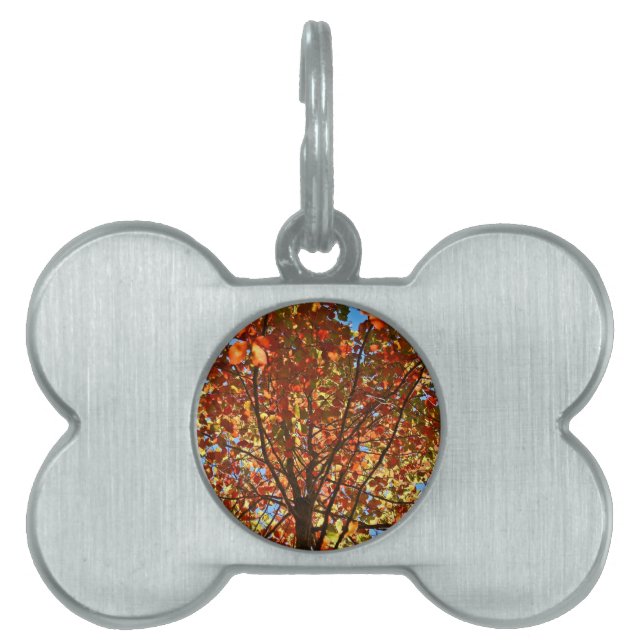 紅葉Fireworks ペットネームタグ (正面)