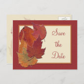 紅葉II日付ポストカードの保存 案内ポストカード (正面/裏面)