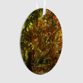 紅葉II黄秋撮影の天蓋 オーナメント (正面)