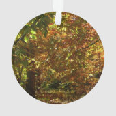 紅葉II黄秋撮影の天蓋 オーナメント (裏面)