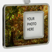 紅葉II黄秋撮影の天蓋 シルバープレートフレームオーナメント (右)