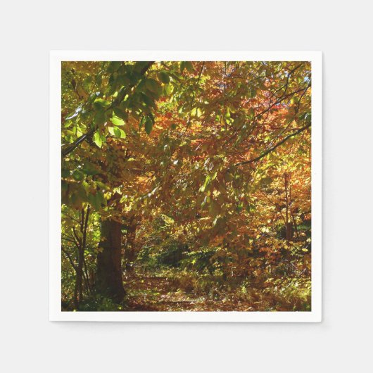 紅葉II黄秋撮影の天蓋 スタンダードカクテルナプキン (正面)