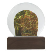 紅葉II黄秋撮影の天蓋 スノーグローブ (裏面)