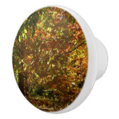 紅葉II黄秋撮影の天蓋 セラミックノブ (右)