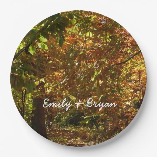 紅葉II黄秋撮影の天蓋 ペーパープレート (正面)