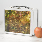 紅葉II黄秋撮影の天蓋 メタルランチボックス (インサイチュ)