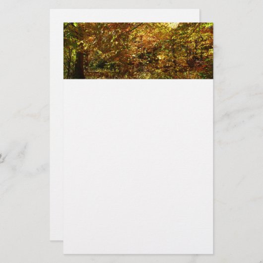 紅葉II黄秋撮影の天蓋 便箋 (正面/裏面)