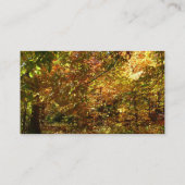 紅葉II黄秋撮影の天蓋 名刺 (裏面)