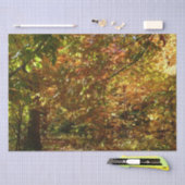 紅葉II黄秋撮影の天蓋 薄葉紙 (クラフト)