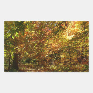 紅葉II黄秋撮影の天蓋 長方形シール