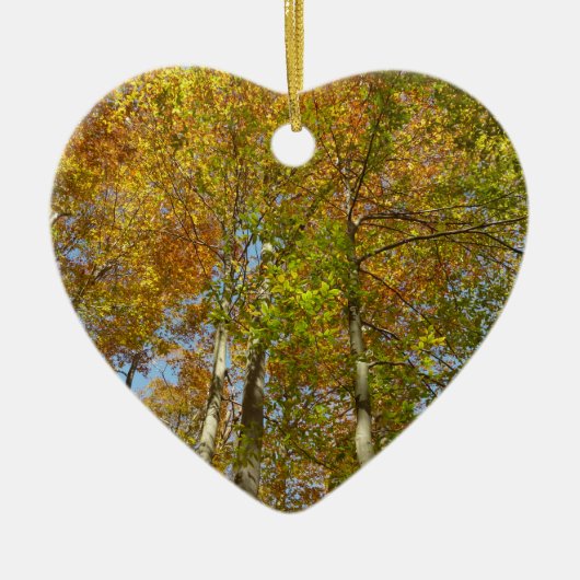 紅葉IIIの葉を調カラフルべる セラミックオーナメント (正面)