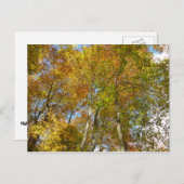 紅葉IIIの葉を調カラフルべる ポストカード (正面/裏面)