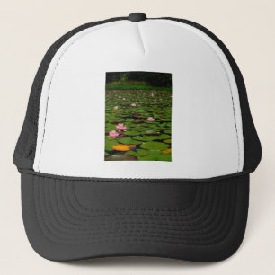 紅蓮の睡蓮の花池 キャップ