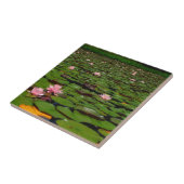 紅蓮の睡蓮の花池 タイル (側面)