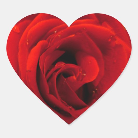 紅薔薇の花 ハートシール (正面)